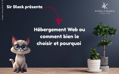 LexicoWeb : H Comme Hébergement