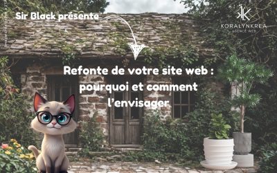 LexicoWeb : R comme Refonte